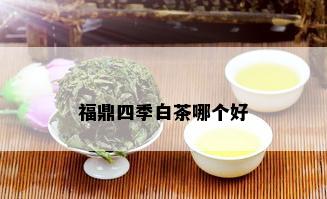 福鼎四季白茶哪个好