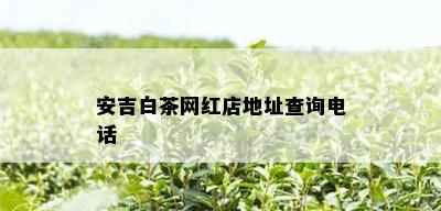 安吉白茶网红店地址查询电话