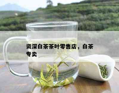 资深白茶茶叶零售店，白茶专卖