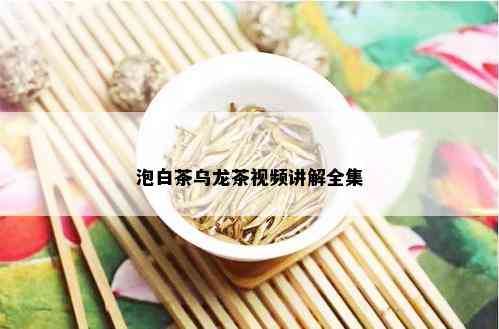 泡白茶乌龙茶视频讲解全集