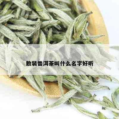 散装普洱茶叫什么名字好听