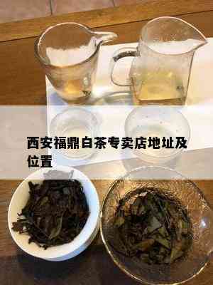 西安福鼎白茶专卖店地址及位置