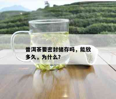 普洱茶要密封储存吗，能放多久，为什么？