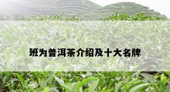 班为普洱茶介绍及十大名牌