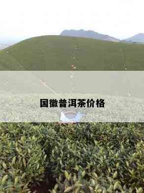 国徽普洱茶价格