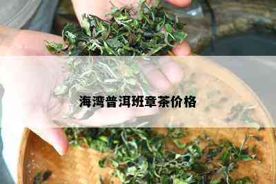 海湾普洱班章茶价格