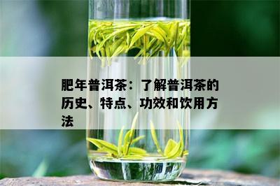 肥年普洱茶：了解普洱茶的历史、特点、功效和饮用方法