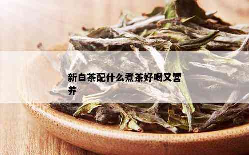 新白茶配什么煮茶好喝又营养