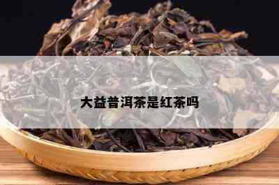 大益普洱茶是红茶吗