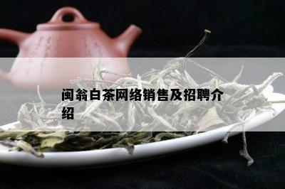 闽翁白茶网络销售及招聘介绍