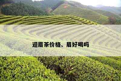 迎眉茶价格、眉好喝吗