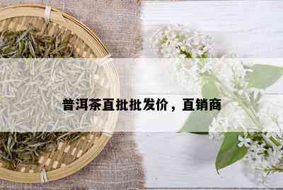 普洱茶直批批发价，直销商