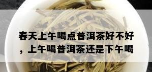 春天上午喝点普洱茶好不好，上午喝普洱茶还是下午喝