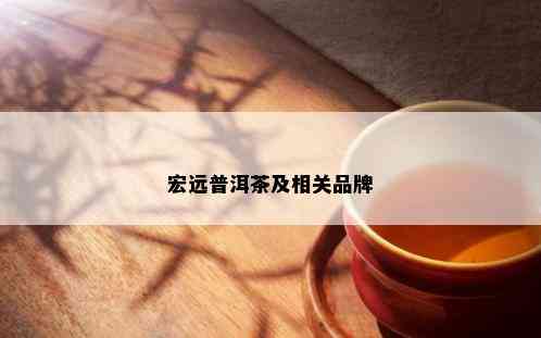 宏远普洱茶及相关品牌