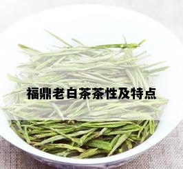 福鼎老白茶茶性及特点