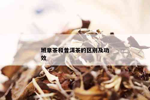 班章茶和普洱茶的区别及功效