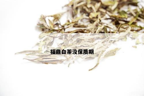 福鼎白茶没保质期