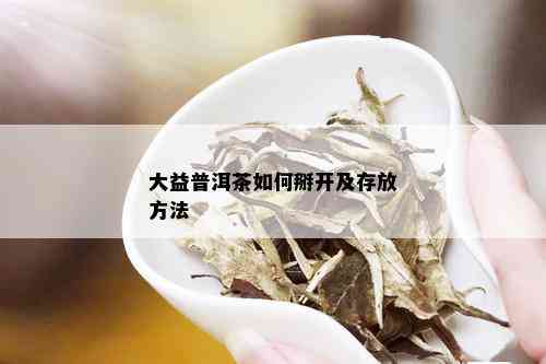 大益普洱茶如何掰开及存放方法