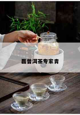 磊普洱茶专家青