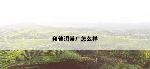 和普洱茶厂怎么样