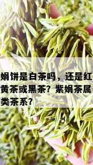 紫娟饼是白茶吗，还是红茶、黄茶或黑茶？紫娟茶属于哪类茶系？