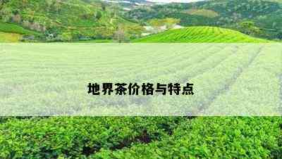 地界茶价格与特点