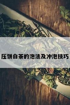 压饼白茶的泡法及冲泡技巧