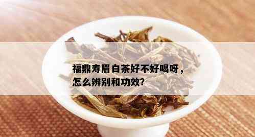 福鼎寿眉白茶好不好喝呀，怎么辨别和功效？