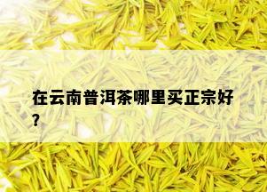 在云南普洱茶哪里买正宗好？