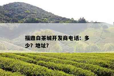 福鼎白茶城开发商电话：多少？地址？