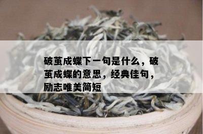 破茧成蝶下一句是什么，破茧成蝶的意思，经典佳句，励志唯美简短