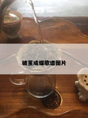 破茧成蝶歌谱图片