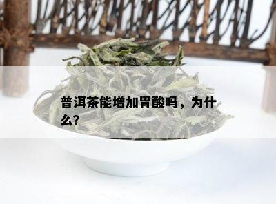 普洱茶能增加胃酸吗，为什么？