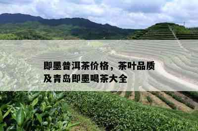 即墨普洱茶价格，茶叶品质及青岛即墨喝茶大全