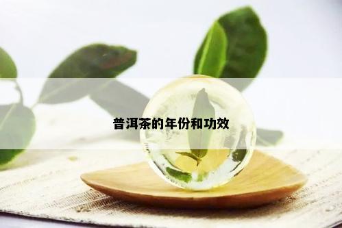 普洱茶的年份和功效