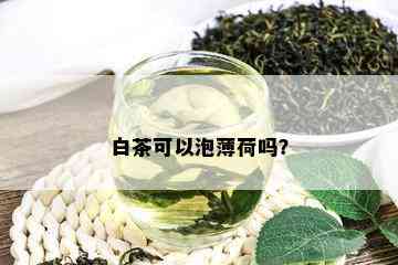 白茶可以泡薄荷吗？