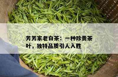 芳芳家老白茶：一种珍贵茶叶，独特品质引人入胜