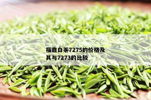 福鼎白茶7275的价格及其与7273的比较