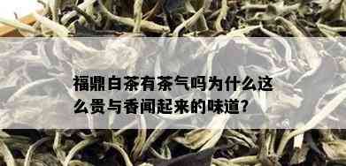 福鼎白茶有茶气吗为什么这么贵与香闻起来的味道？