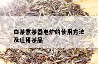 白茶煮茶器电炉的使用方法及适用茶品