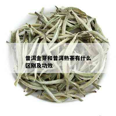 普洱金芽和普洱熟茶有什么区别及功效