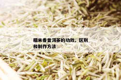 糯米香普洱茶的功效、区别和制作方法