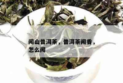 闻山普洱茶，普洱茶闻香，怎么闻