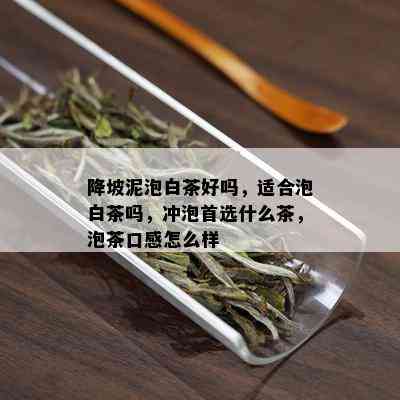 降坡泥泡白茶好吗，适合泡白茶吗，冲泡首选什么茶，泡茶口感怎么样