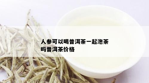 人参可以喝普洱茶一起泡茶吗普洱茶价格