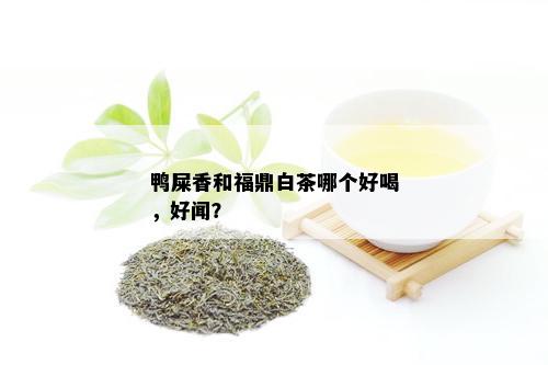 鸭屎香和福鼎白茶哪个好喝，好闻？