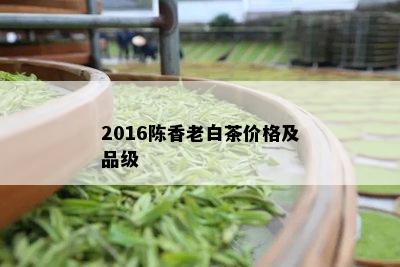 2016陈香老白茶价格及品级