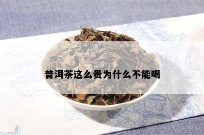 普洱茶这么贵为什么不能喝