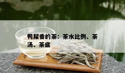 鸭屎香的茶：茶水比例、茶汤、茶底