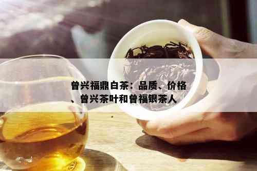 曾兴福鼎白茶：品质、价格、曾兴茶叶和曾福银茶人